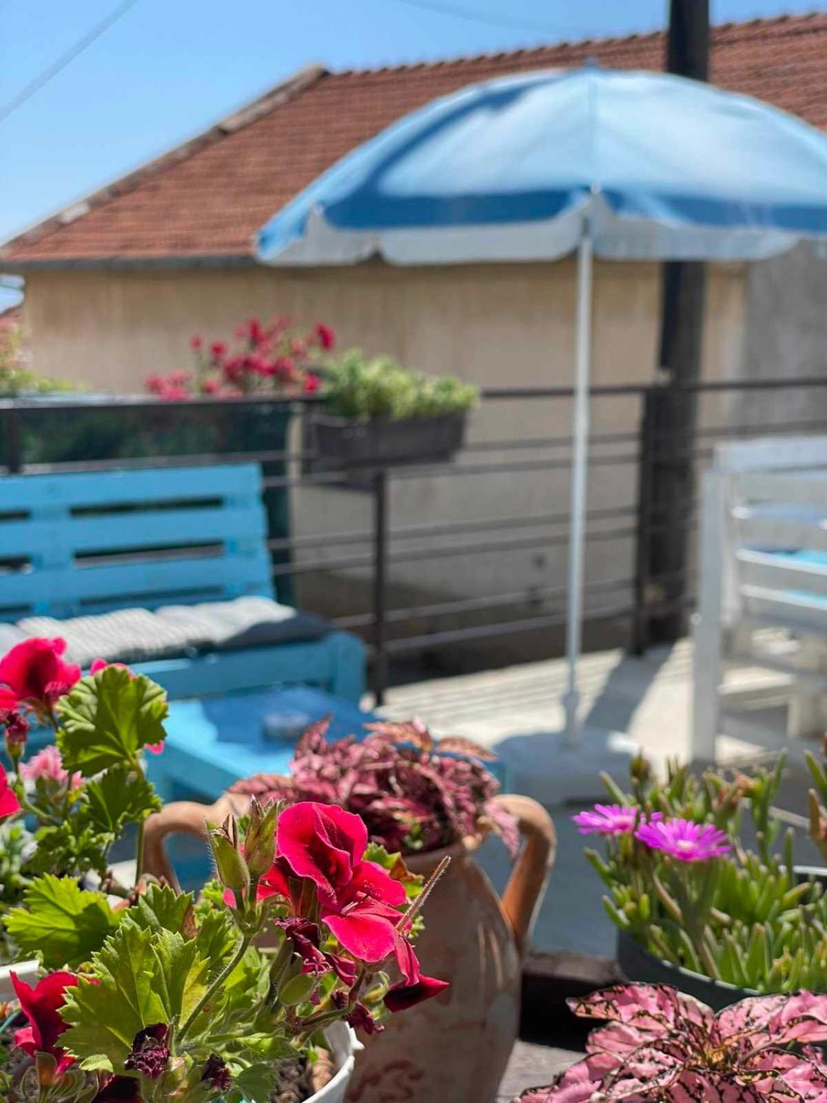 Gopo Guesthouse Elshani Luaran gambar